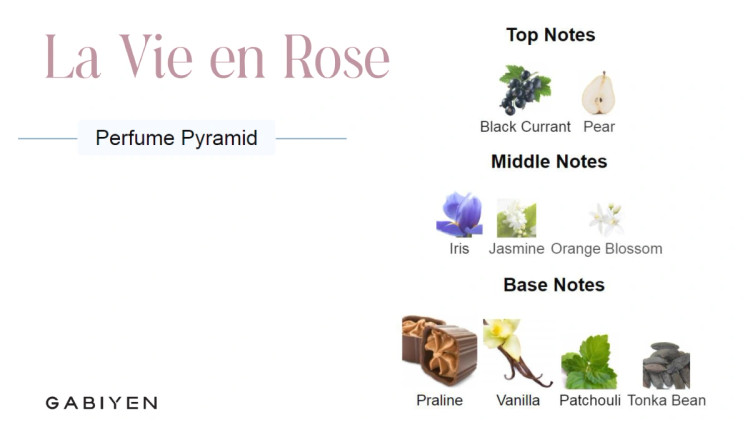 ادکلن زنانه گابی ین مدل La Vie en Rose